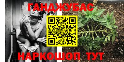 стаф Янаул