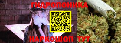 ECSTASY Ярославль