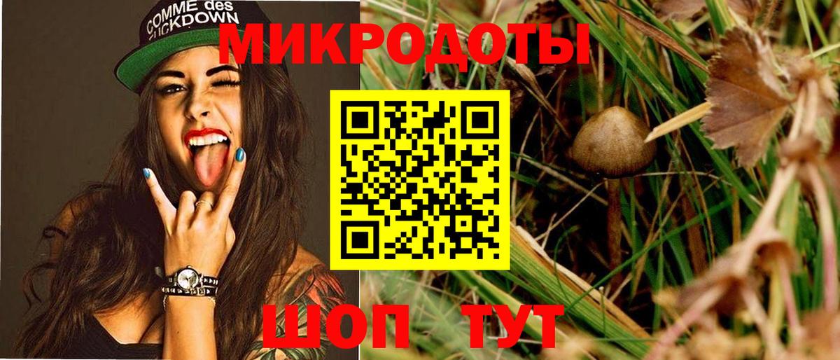 Вязьма  Псилоцибиновые грибы Psilocybe  дарнет шоп  Вход с VPN  Галлюциногенные грибы Psilocybe 